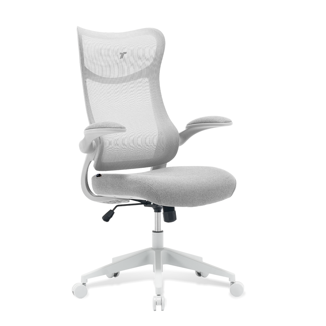 TT AIRFLEX V2 Ergochair (Copy) - TTRacing Singapore
