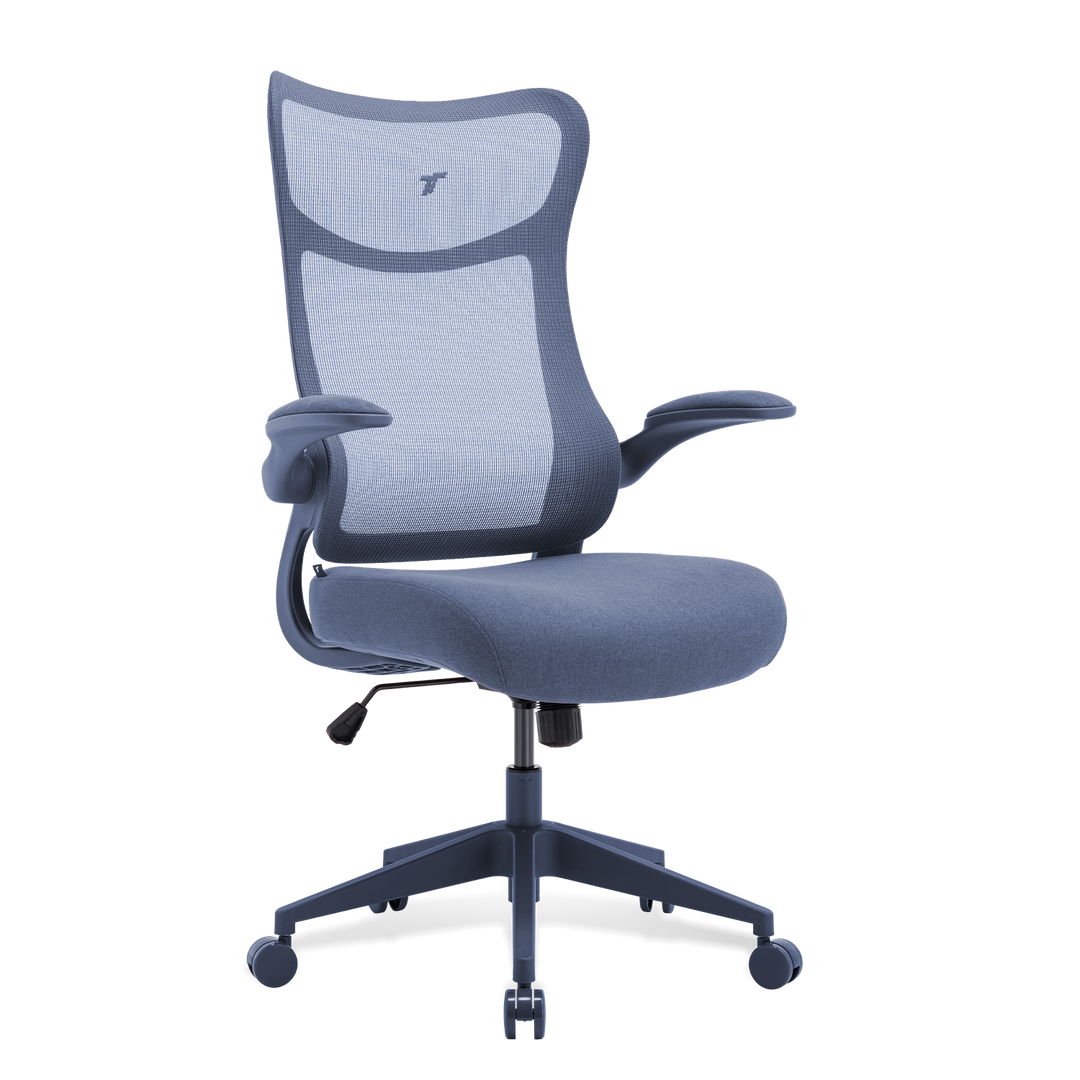 TT AIRFLEX V2 Ergochair (Copy) - TTRacing Singapore