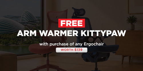 Ergochair + FREE KittyPaw